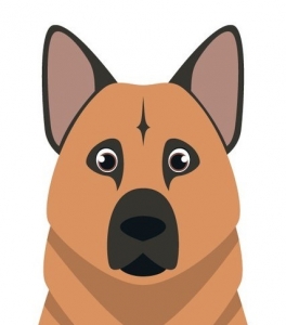 Mid-large dog breed illustration